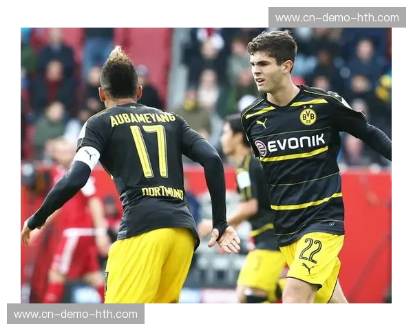 体育直播评论员：激情与智慧并存的职业