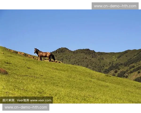 潘帕斯草原的狂想曲：河床与图库曼的“王座”与“草根”之战